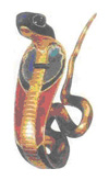 Священная кобра охраняет покой фараона.